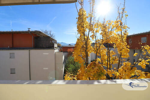 Blick - 