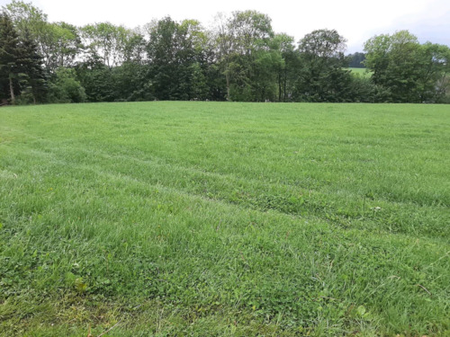 ac467d5b-3f22-4889-b24b-2bc6175c01d3 - 