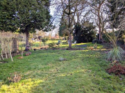 Blick in den Garten - 