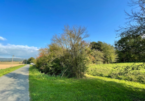 Bild 3 - Grundstück in Messenkamp