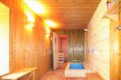 Tauchbecken und Sauna - 