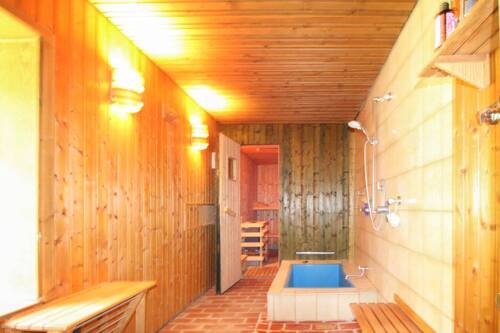 Tauchbecken und Sauna - 