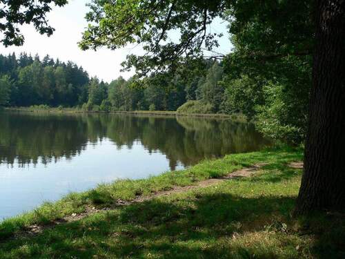 15min Fussweg zum Teich - 1 Zimmer Mehrfamilienhaus, Wohnhaus in Zwönitz