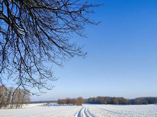 Winter in Oberreichenbach - 