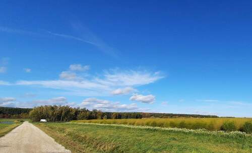 Sommer in Oberreichenbach - 