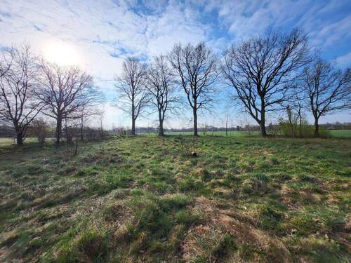 Grundstück 5 - Grundstück zum Kaufen in Henstedt-Ulzburg