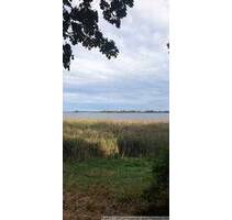 Reif für die Insel? 2-R-Whg. mit Balkon + Fahrstuhl in Riems - Greifswald