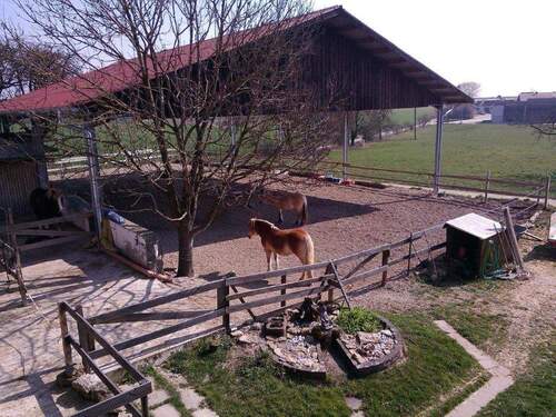 überdachter Reitplatz - 
