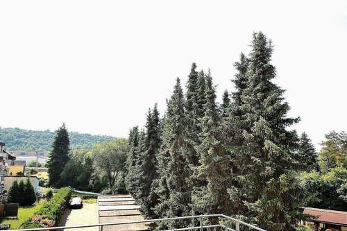 DSC_0037.JPG - 3 Zimmer Etagenwohnung zur Miete in Konz