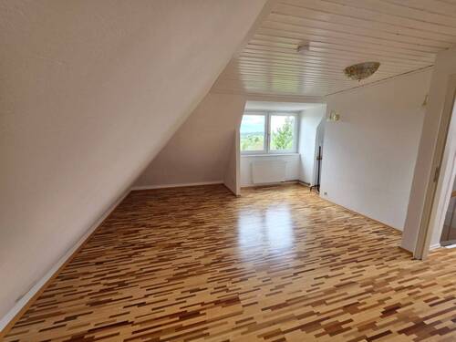 zimmer-dg.jpg - 