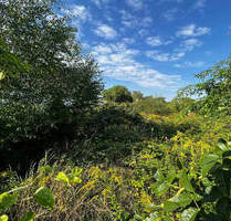 Halle-Diemitz: Großes Baugrundstück für Haus-Neubau, bauträgerfrei - Halle (Saale)-Diemitz