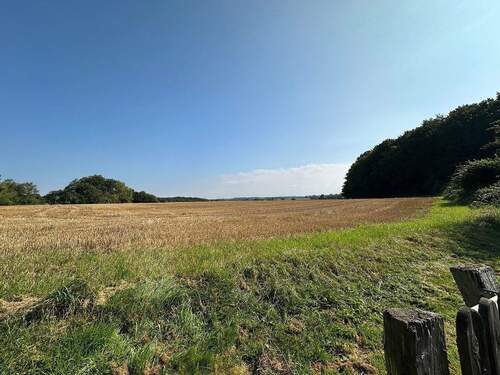 Aussicht vom Grundstück - 