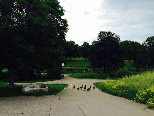 Unterer Schlossgarten - 