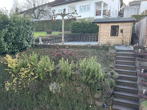 Blick in den Garten - 