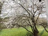 Blick vom Balkon Whg. 2 - 