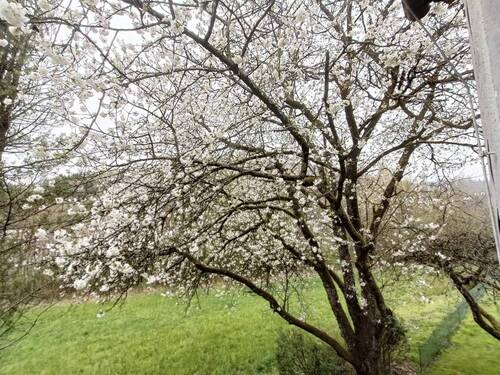 Blick vom Balkon Whg. 2 - 