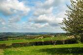 Natur - 