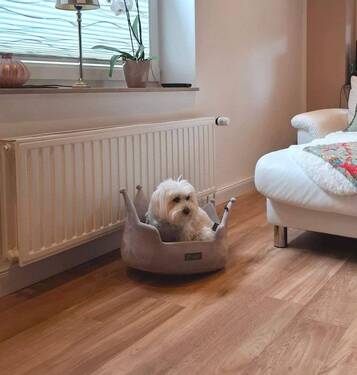 "Pudel"-wohl fühlen ;) - 