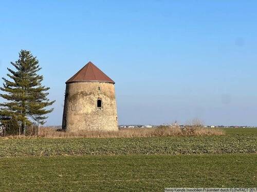 Bild 3 - 5 Zimmer Einfamilienhaus in Großenhain