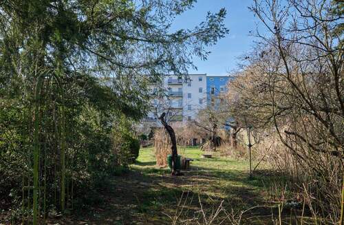 Blick in den großen Garten - 2 Zimmer Etagenwohnung in Brandenburg an der Havel