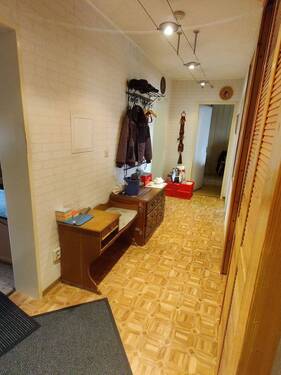 IMG_20250517_124624.jpg - 