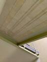 IMG_3569 - 