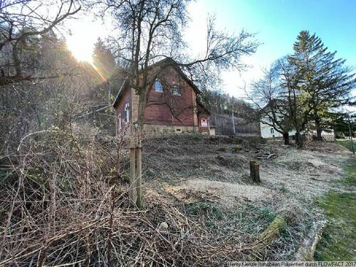 PHOTO-2022-03-23-14-26-09(2) - 4 Zimmer Einfamilienhaus zum Kaufen in Reinhardtsdorf