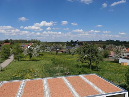 P1001195 - 
