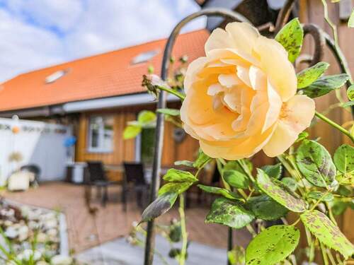 Schön angelegtes Grundstück Ansicht I - 5 Zimmer Doppelhaushälfte zum Kaufen in Cuxhaven