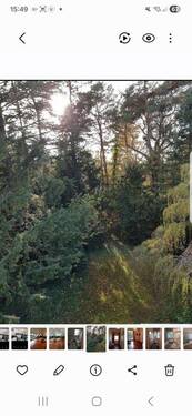 Bild 3 - 6 Zimmer Einfamilienhaus in Berlin-Grunewald