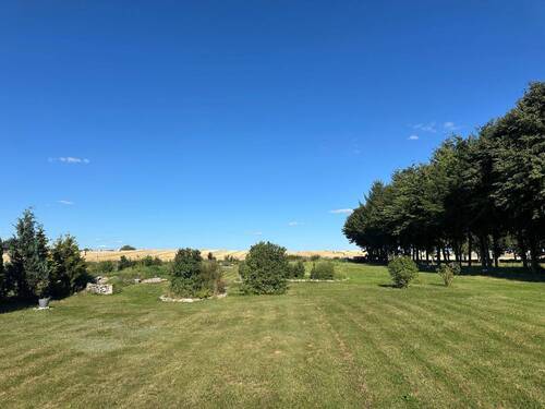 Garten - Ihr Zuhause inmitten der Feldberger Seenlandschaft – Natur. Ruhe. Weitblick.