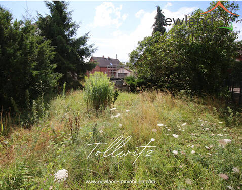 Startbild - Traumhaft großes Grundstück in Tollwitz bei Markranstädt zum Traumhausbau!