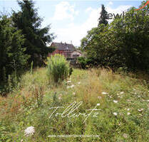 Traumhaft großes Grundstück in Tollwitz bei Markranstädt zum Traumhausbau! - Bad Dürrenberg