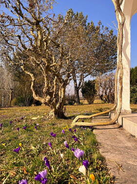 Garten - 