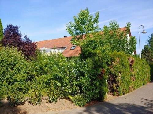 Rückseite des Hauses - 