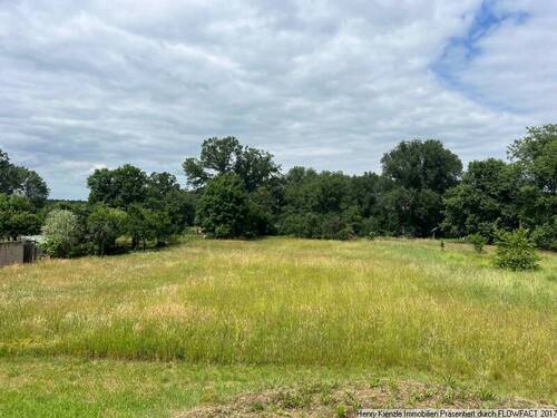 Ein Blick auf das Baugrundstück - Tolles Baugrundstück in Neu-Seeland unweit von Sedlitzer See gelegen!