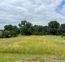 Tolles Baugrundstück in Neu-Seeland unweit von Sedlitzer See gelegen!