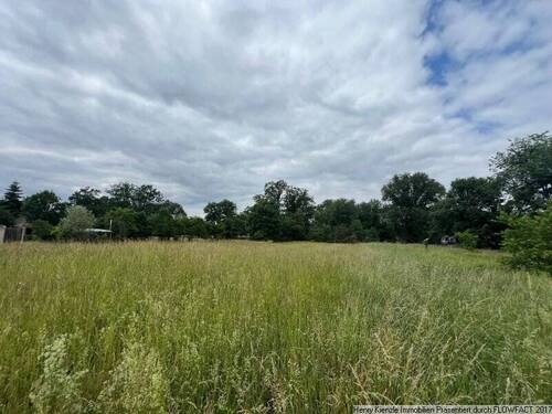 Bild 3 - Grundstück in Neu-Seeland