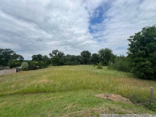 Bild 4 - Grundstück in Neu-Seeland zum Kaufen