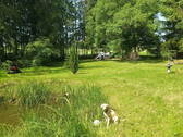 Waldgrundstück - 
