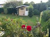Blick in den Garten - 