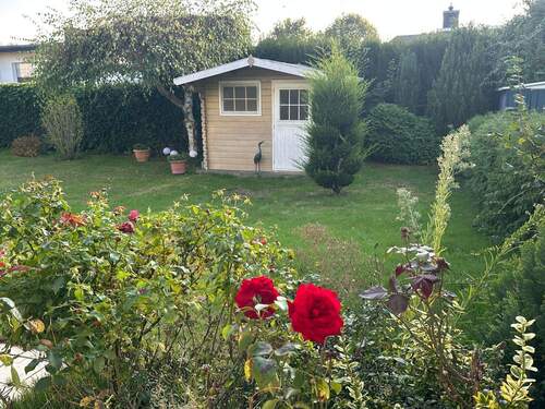 Blick in den Garten - 