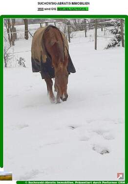 Beispielbild - *** Bauernhaus und ca. 3 Hektar Land in Randlage ***