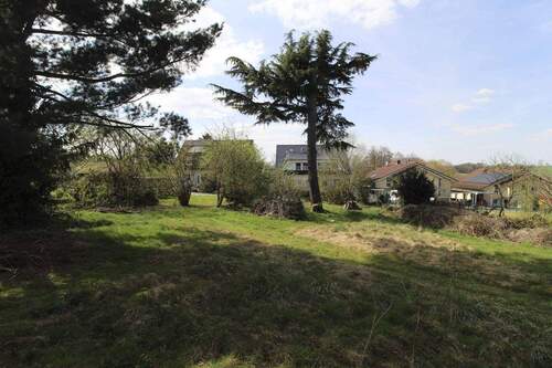 Blick Grundstück Richtung Straße - Grundstück in Königswinter zum Kaufen