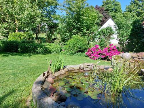 Traumhafter Garten - 