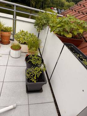 IMG_3024.JPEG - Etagenwohnung mit 126,00 m&sup2; in Georgsmarienhütte zum Kaufen