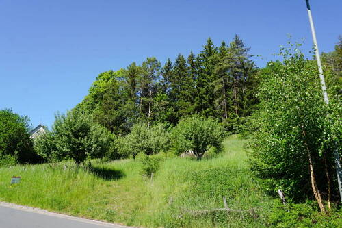 Draisendorfer Straße - Grundstück in Aufseß