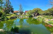 Gartenteich - 
