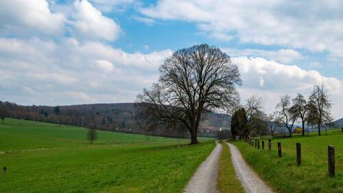 Wiesenweg Richtung Haus - 