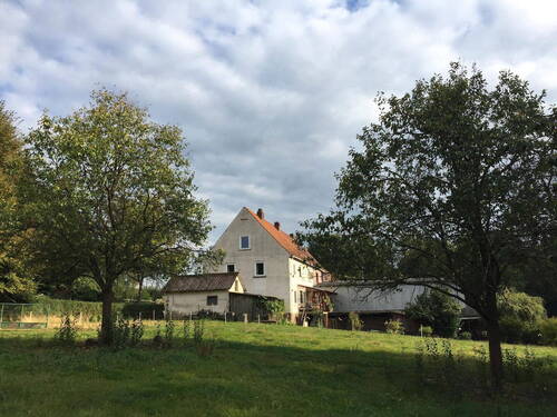 Nordseite - Streuobstwiese - 